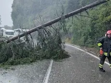 Maltempo nel Bellunese