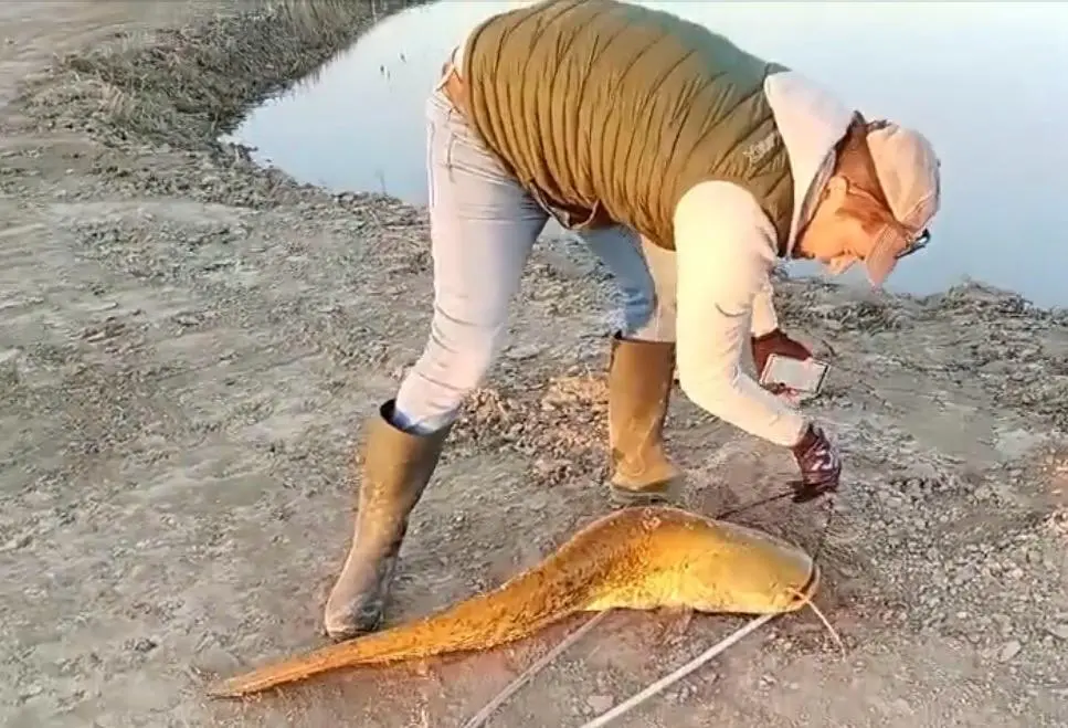 Giovanni era esperto del mondo della pesca