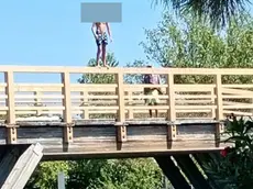 Tuffi dal ponte a Chioggia