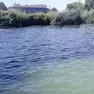 La macchia nera sul Sile a Jesolo