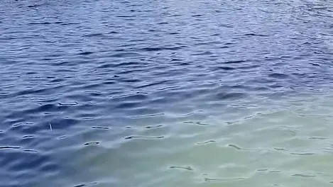 La macchia nera sul Sile a Jesolo