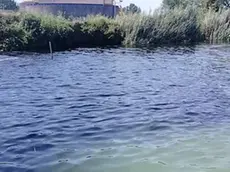 La macchia nera sul Sile a Jesolo