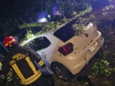 I vigili del fuoco liberano un'auto su cui si è abbattuto un albero a Malcontenta