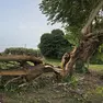 Maltempo nel Padovano