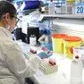 Laboratorio per la valutazione della compatibilità del midollo