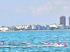 Le panne assorbenti posizionate al largo (foto Bortoluzzi)