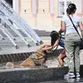 Agosto 2026 ha registrato 18 notti tropicali
