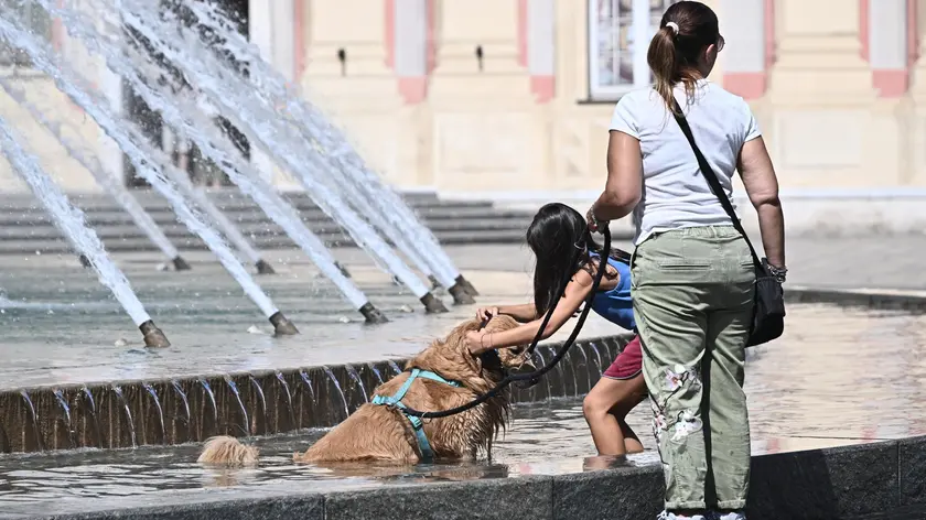 Agosto 2026 ha registrato 18 notti tropicali
