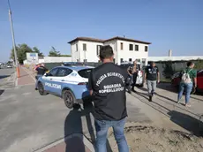 Tessera, Mihai Midoski trovato morto in casa: «Cause naturali»