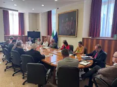Il comitato