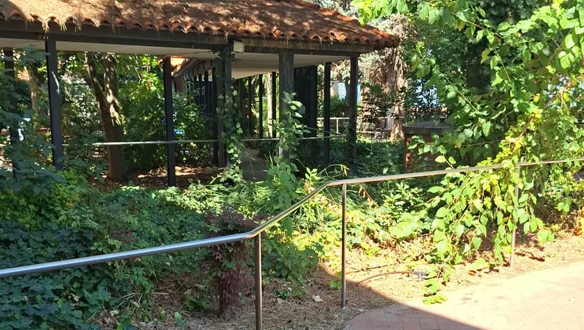 Venezia, topi e giardino incolto all’ex Fatebenefratelli: «Basta»