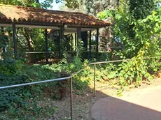 Venezia, topi e giardino incolto all’ex Fatebenefratelli: «Basta»