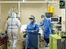 Stop ai tamponi Covid in Oncoematologia pediatrica dopo anni di proteste