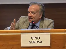 Gino Gerosa