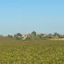 Il luogo delle ricerche