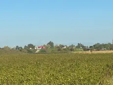 Il luogo delle ricerche