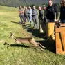 La liberazione in Cansiglio dei tre caprioli curati al Cras a Villa Zuppani di Villiago di Sedico