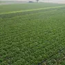 Un lago sotterraneo di acqua dolce tra Chioggia e Cavarzere