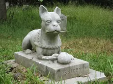 Nuove regole per la sepoltura degli animali d'affezione a Venezia