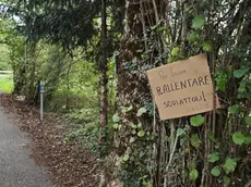Il cartello sulla pista ciclabile