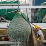 Al lavoro su un peschereccio al largo di Chioggia