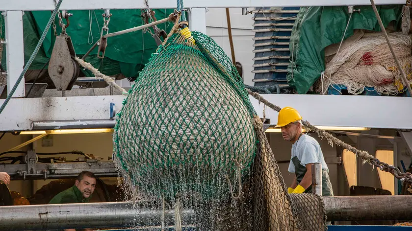 Al lavoro su un peschereccio al largo di Chioggia