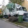 Raccolta di rifiuti con un camion di Veritas