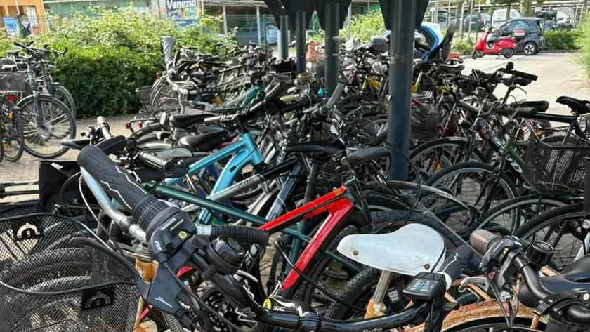 Bici abbandonate
