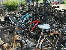 Bici abbandonate