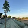 Il nuovo canale scolmatore di via Berti a Martellago