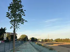 Il nuovo canale scolmatore di via Berti a Martellago