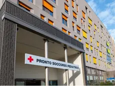 La nuova Pediatria Salus Pueri