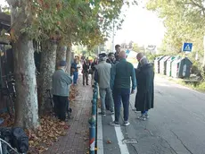 I residenti mobilitati contro l'abbattimento dei pioppi a Ca' Solaro