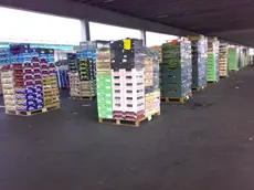 Cassette di frutta e verdura stoccate al mercato ortofrutticolo