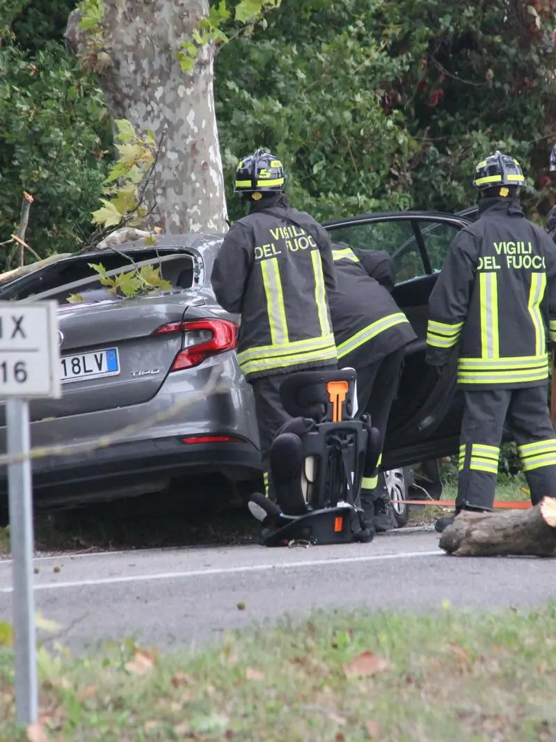 L'auto del 46enne che ha perso la vita (foto Bortoluzzi)