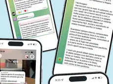 I messaggi che circolano nelle chat