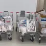 Alcuni dei prodotti ittici sequestrati dalla Guardia costiera