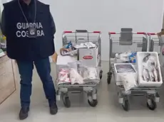 Alcuni dei prodotti ittici sequestrati dalla Guardia costiera