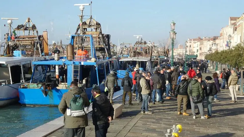 Interpress/Tagliapietra Scattolin Venezia20.01.2015.- Manifestazione Vongolari.-