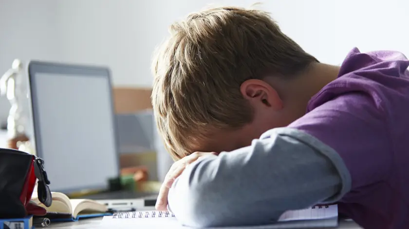 Tired Boy Studying In Bedroom