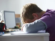 Tired Boy Studying In Bedroom