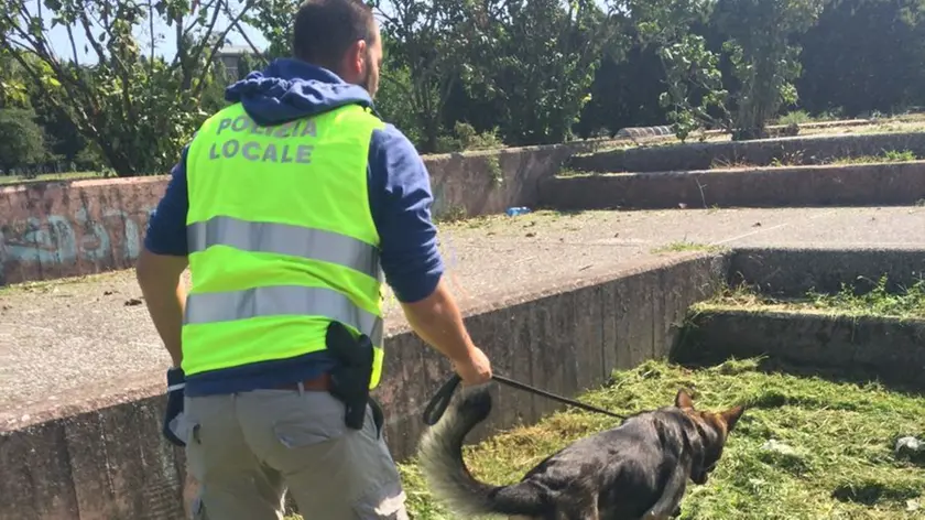 Il cane Kuma al parco Bissuola