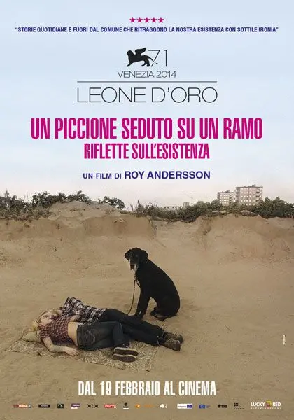 Un piccione seduto sul ramo riflette sull'esistenza