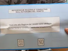 ZAGO AG.FOTOFILM TREVISO SEGGI ELETTORALI REFERENDUM AUTONOMIA DEL VENETO, IN FOTO SEGGIO SCUOLE GABELLI