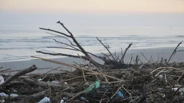 Nella foto la spiaggia di Jesolo portati dai fiumi in piena