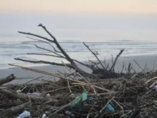 Nella foto la spiaggia di Jesolo portati dai fiumi in piena