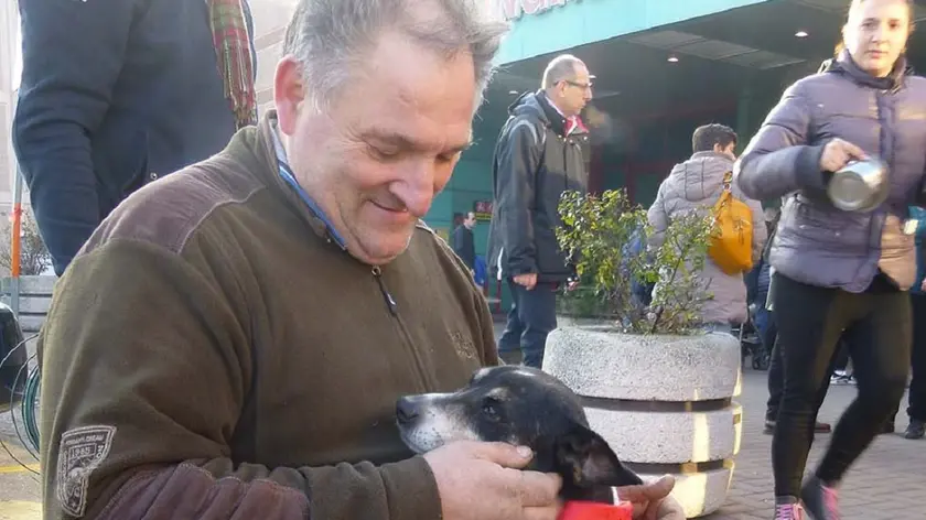 Una "mostra" di cani abbandonati organizzata dal canile di Musile davanti al Centro Piave. In quell'occasione tutti i cagnolini portati trovarono una famiglia