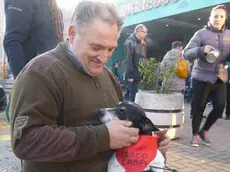 Una "mostra" di cani abbandonati organizzata dal canile di Musile davanti al Centro Piave. In quell'occasione tutti i cagnolini portati trovarono una famiglia