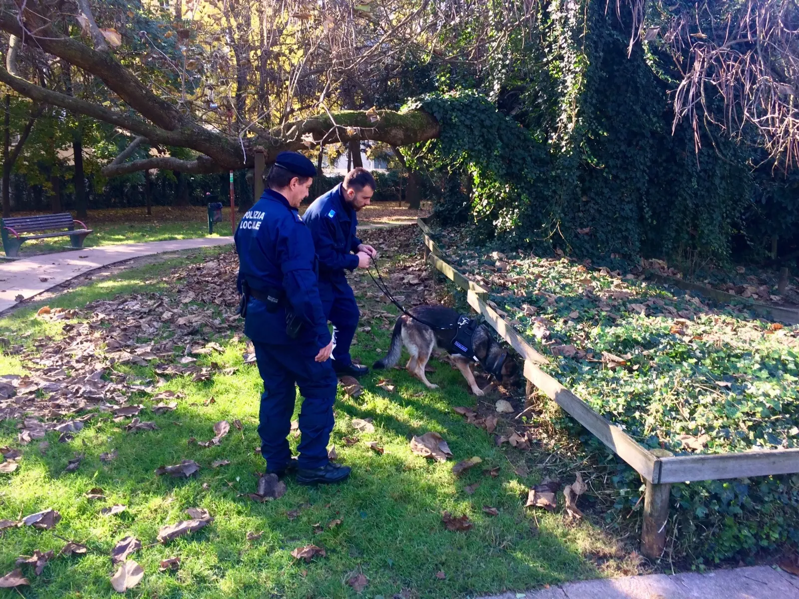 Agenti di Polizia locale in servizio antidroga con Kuma