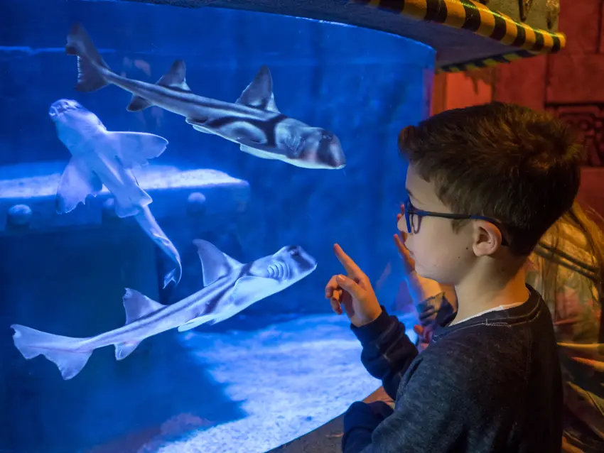 La galleria dell'Aquarium di Jesolo